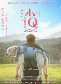电影迅雷下载网站